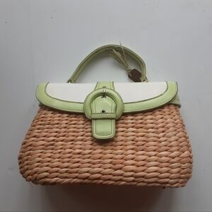 Stylish Green and Tan Woven Women's Bag